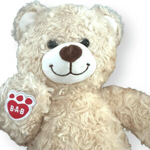Build-A-Bear Happy Hugs Teddy Bear Plush Beige Curly Fur 16in Paw Patch